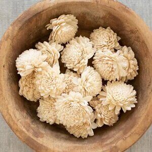 Natural Dried Zinnia Flowers - Bag of 16 (2.5"D), White, Botanical, Vase Filler